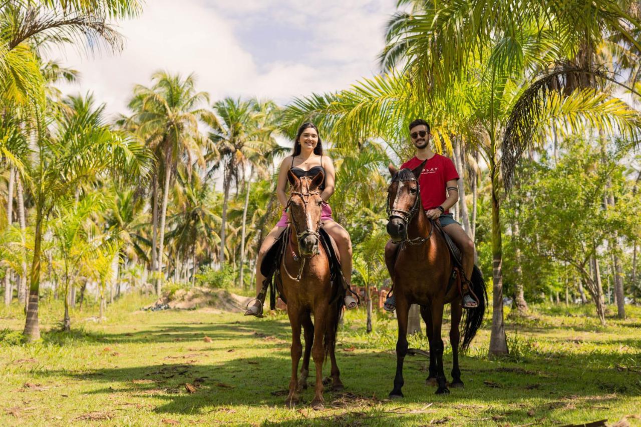Eco Pousada Paraiso Dos Coqueirais Japaratinga Exteriér fotografie