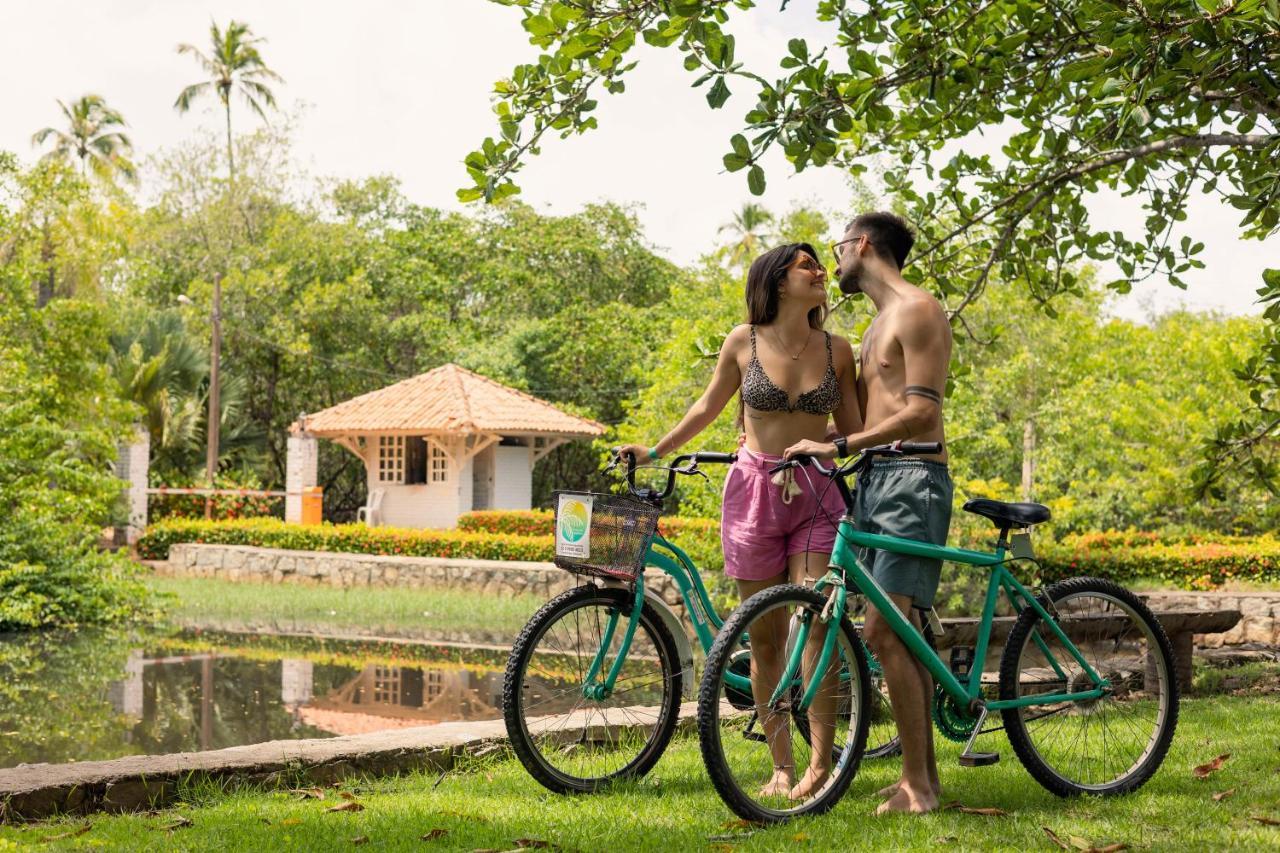 Eco Pousada Paraiso Dos Coqueirais Japaratinga Exteriér fotografie