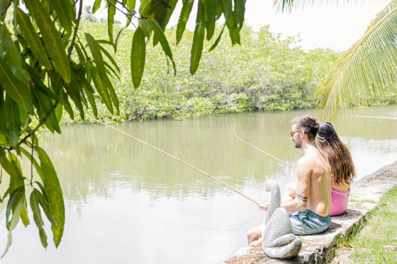 Eco Pousada Paraiso Dos Coqueirais Japaratinga Exteriér fotografie