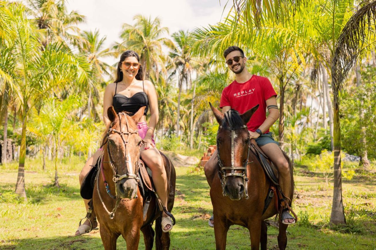 Eco Pousada Paraiso Dos Coqueirais Japaratinga Exteriér fotografie