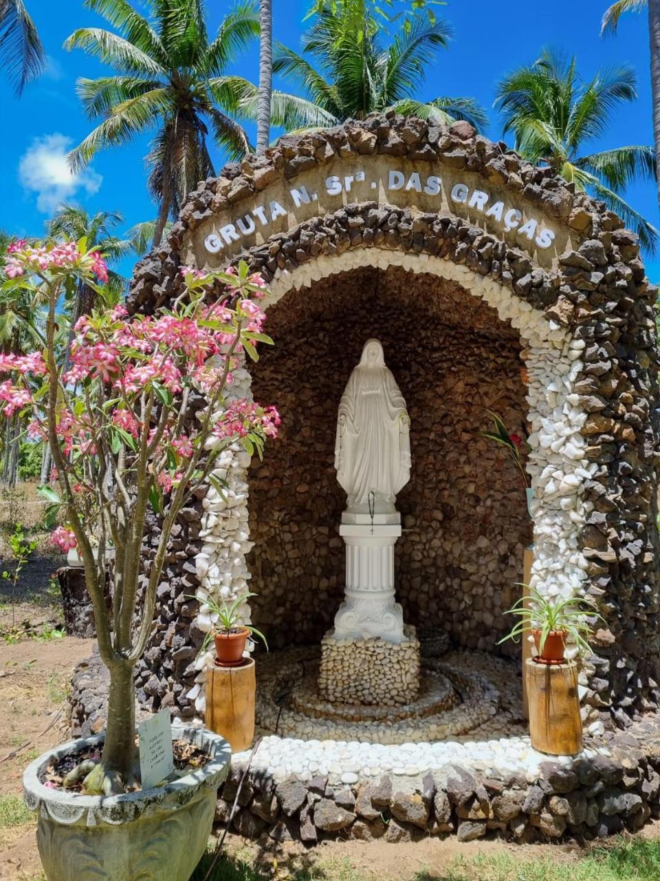 Eco Pousada Paraiso Dos Coqueirais Japaratinga Exteriér fotografie
