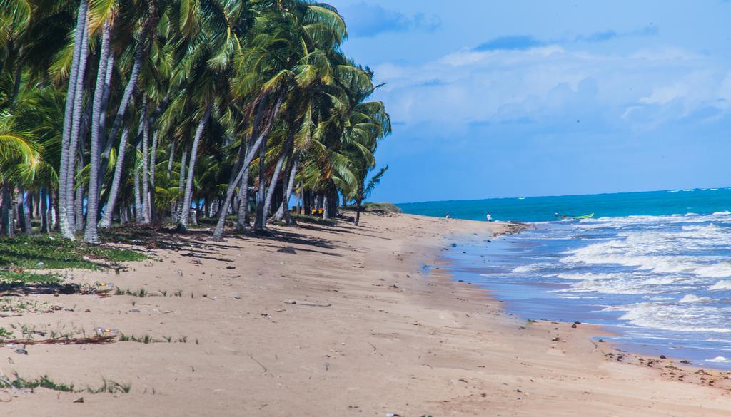Eco Pousada Paraiso Dos Coqueirais Japaratinga Exteriér fotografie
