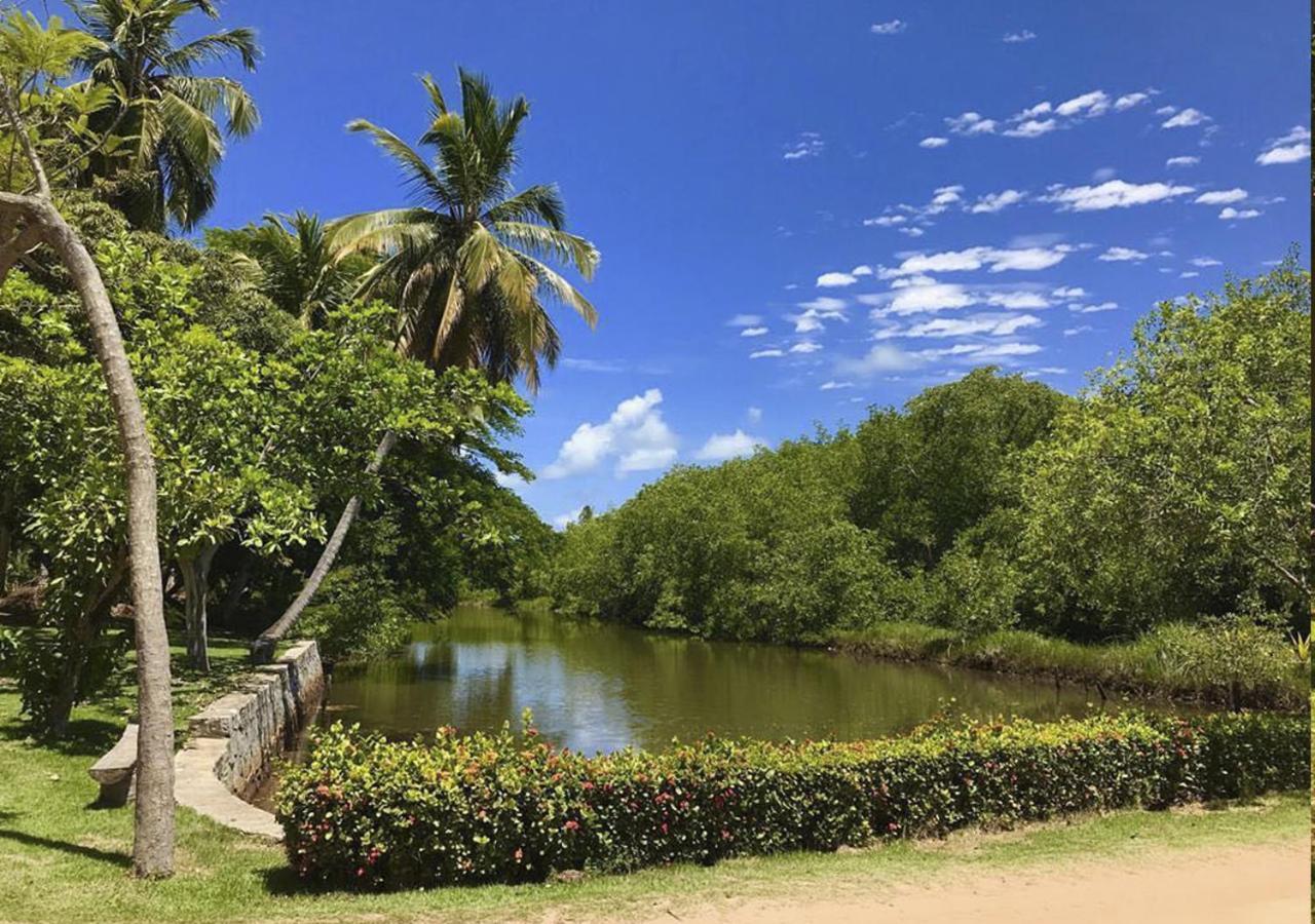 Eco Pousada Paraiso Dos Coqueirais Japaratinga Exteriér fotografie
