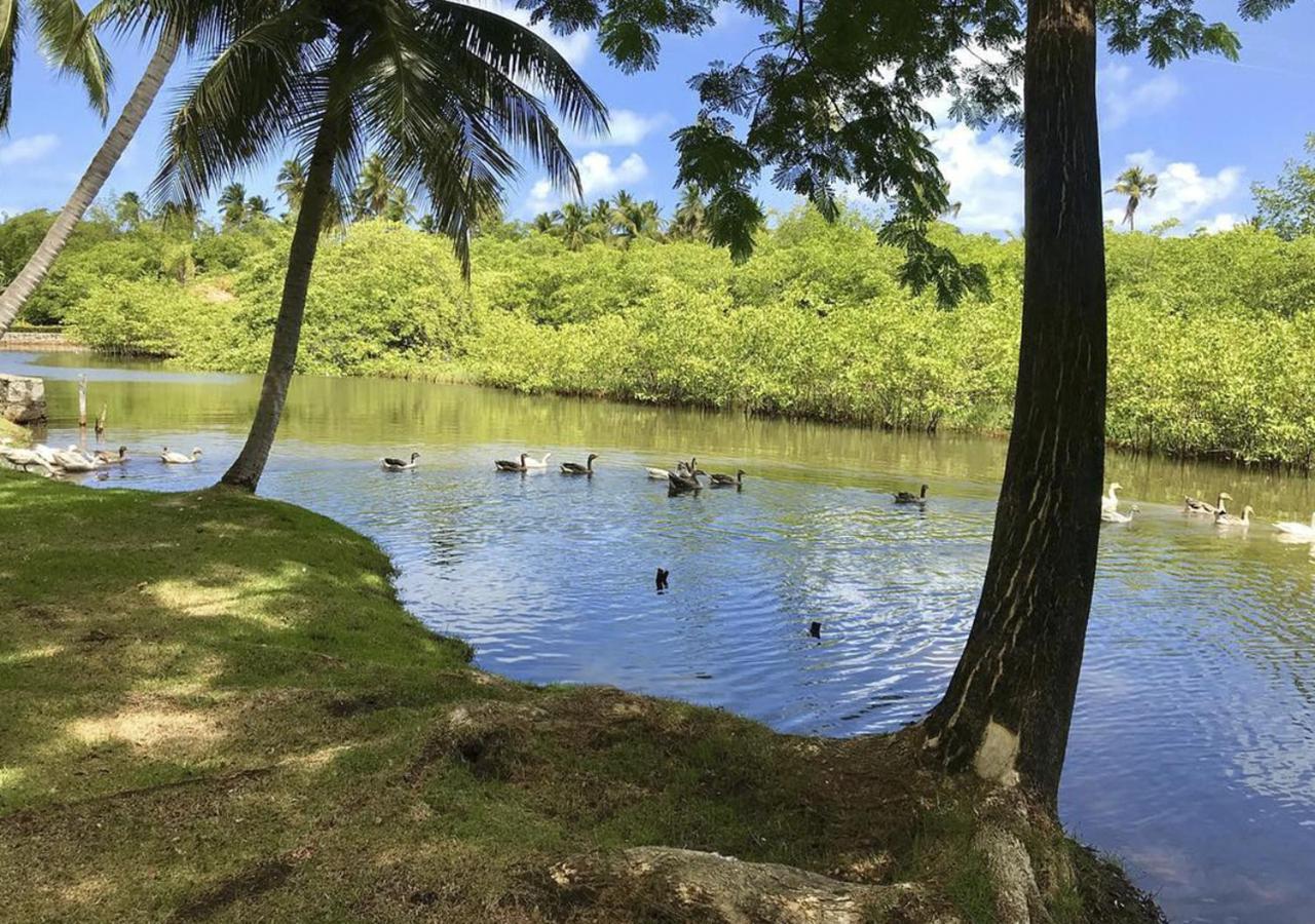 Eco Pousada Paraiso Dos Coqueirais Japaratinga Exteriér fotografie