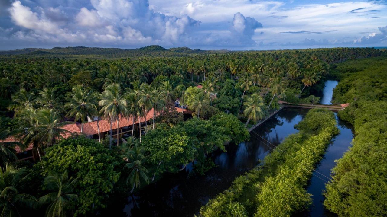 Eco Pousada Paraiso Dos Coqueirais Japaratinga Exteriér fotografie