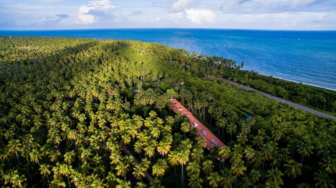 Eco Pousada Paraiso Dos Coqueirais Japaratinga Exteriér fotografie